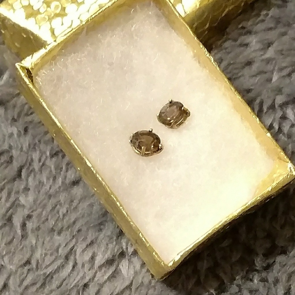 Earrings 10k yellow gold